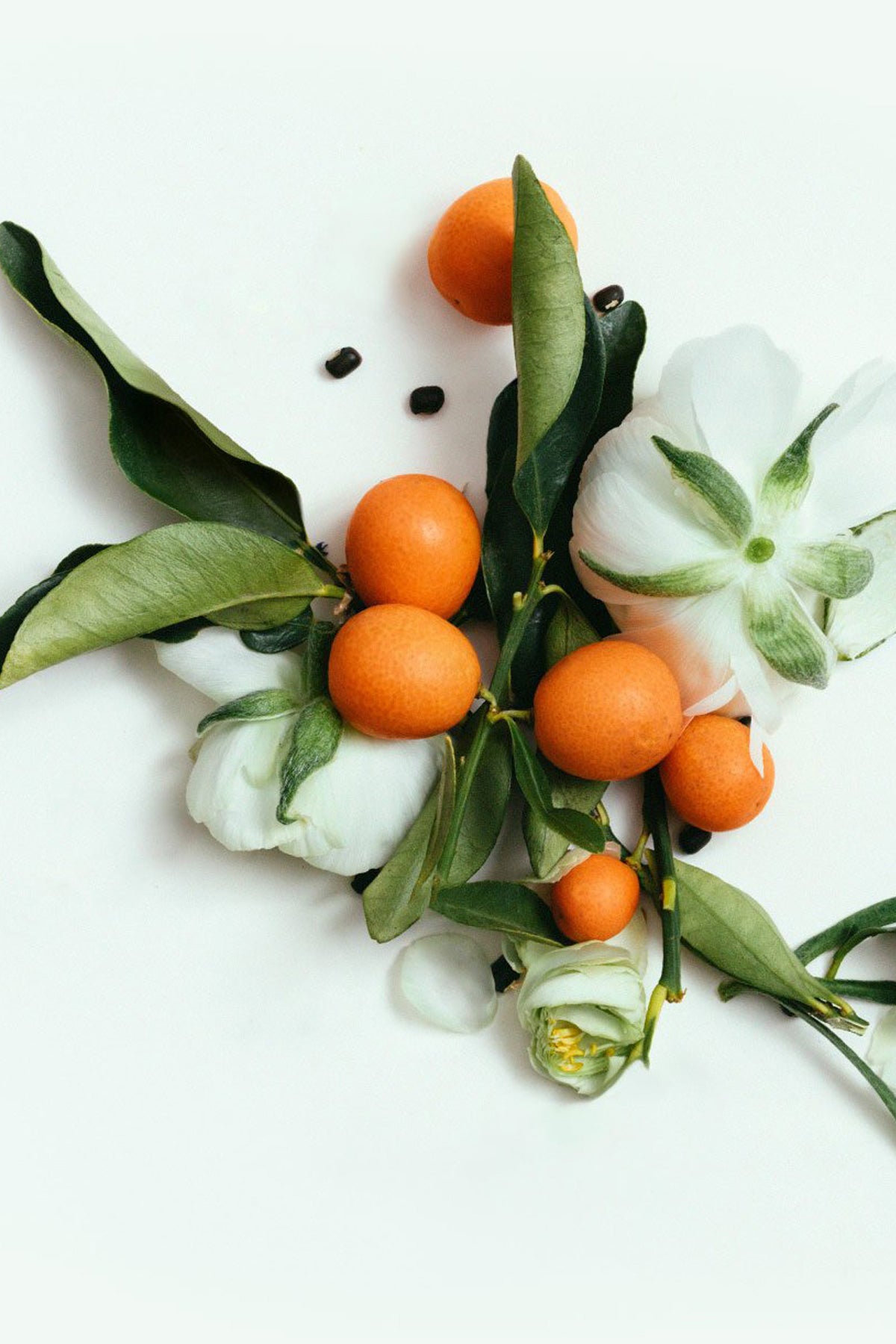 CORPUS - Neroli Body Cleansing Bar - Canoe Club