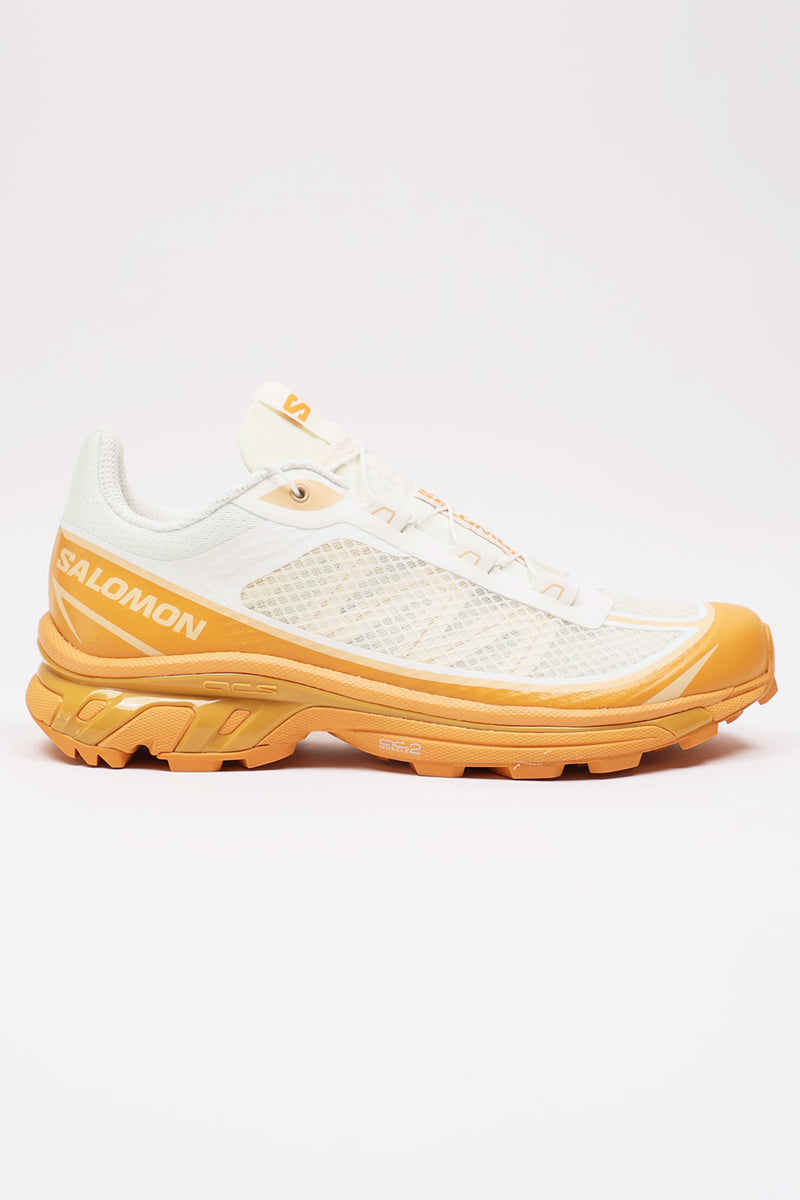 salomon-advanced-xt6-ft-