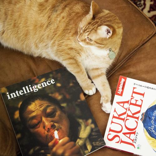 style book and magazine feature with intelligence and lightning magazines and more
