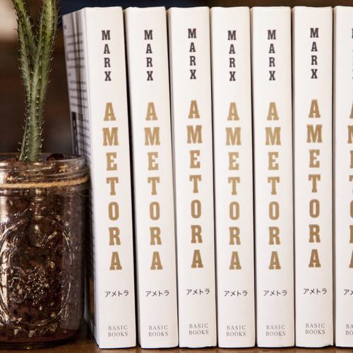 ametora: How Japan Saved American style book by w. david marx