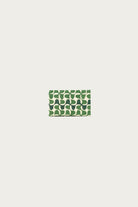 Beams Japan - Keijusha Card Case - Green - Canoe Club