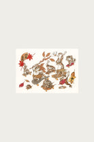 Beams Japan - Nozaka Toshikazu Giclee Print A3 - Frog & Leaves - Canoe Club