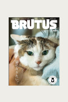 POPEYE - Brutus Magazine - #1017 - Canoe Club