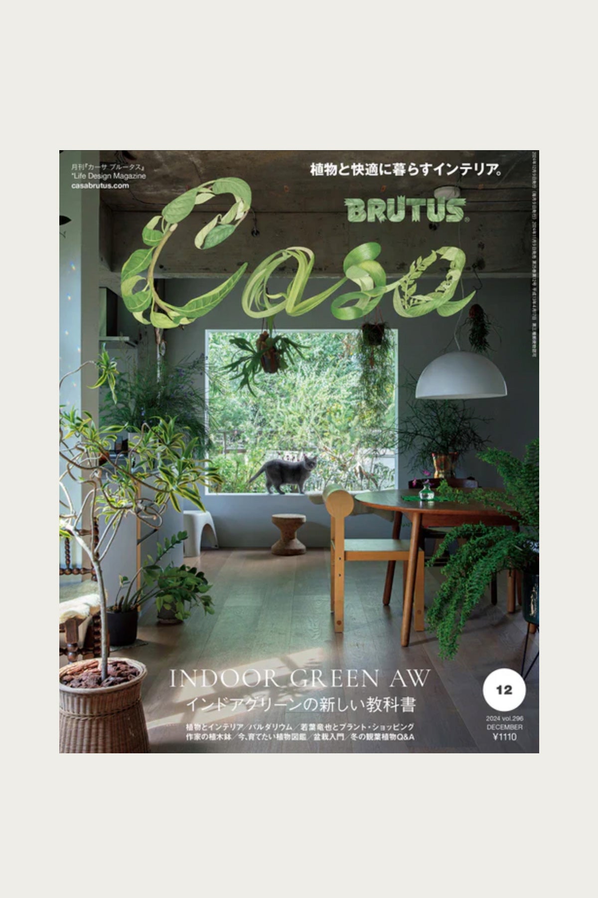 POPEYE - Casa Brutus Magazine - #296 - Canoe Club