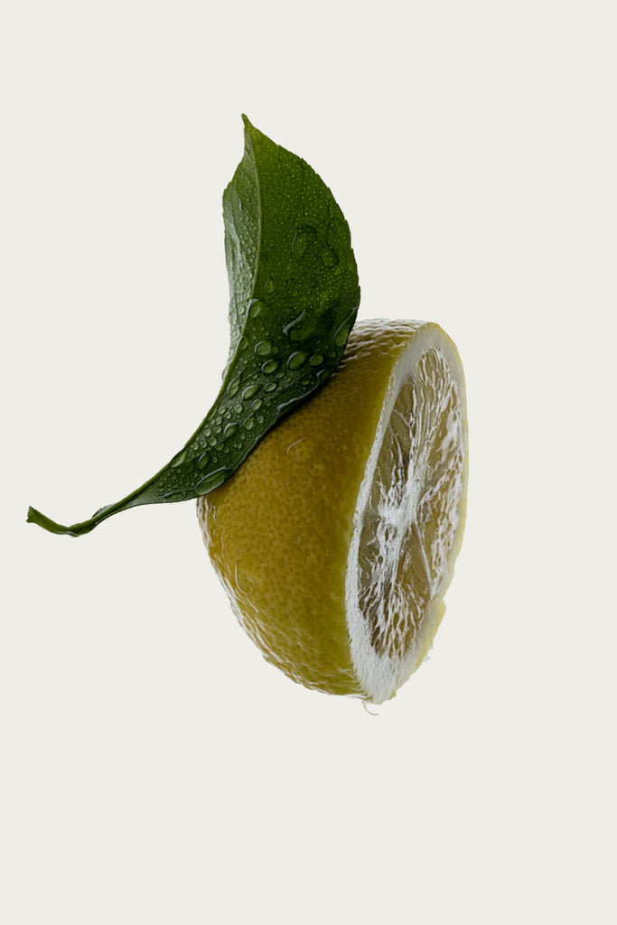 CORPUS - Hand Cream - Amalgam 5 - Canoe Club