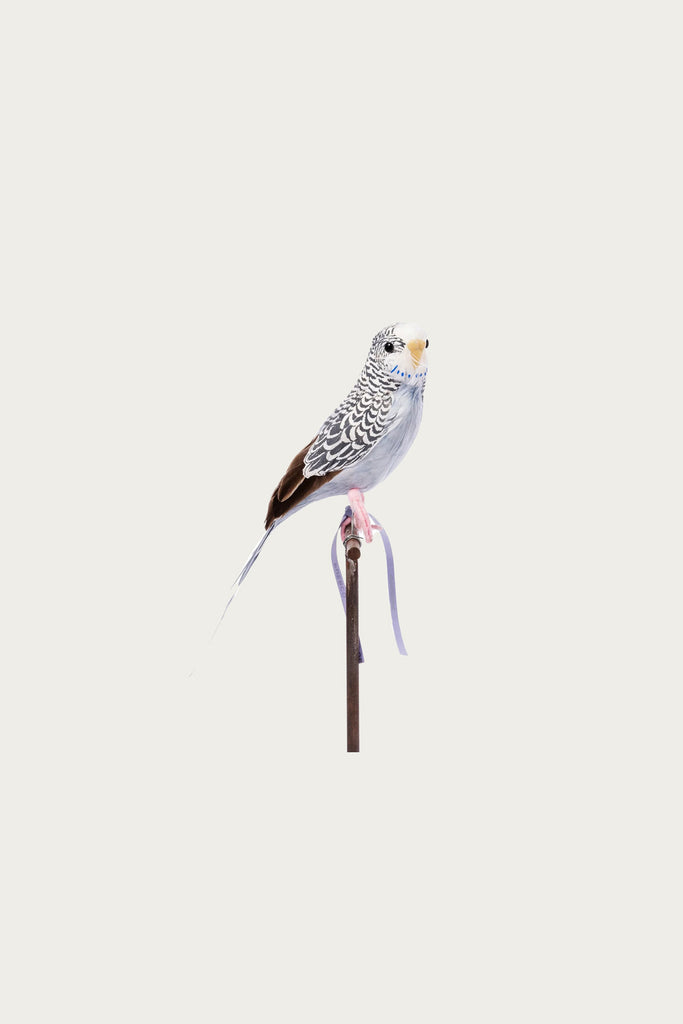 Puebco - Budgie - Gray - Canoe Club