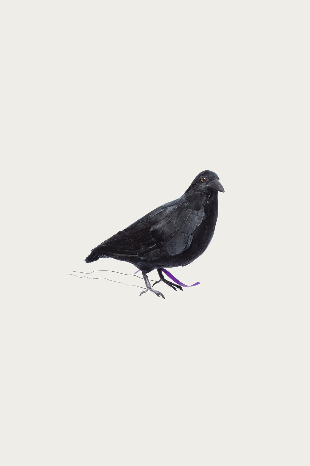 Puebco - Crow 1 (Small) - Canoe Club