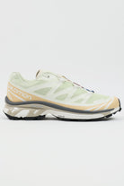 Salomon Advanced - XT-6 - Aloe Wash/Hazelnut/Feather Gray - Canoe Club