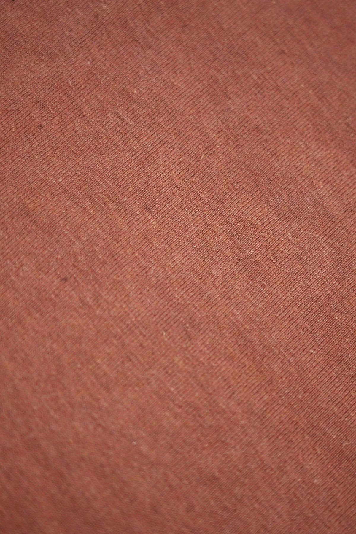 Jungmaven - Baja Tee - Terracotta - Canoe Club