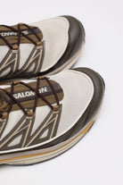 Salomon Advanced - XT-6 Expanse - Feather Gray/Delicioso/Golden Oak - Canoe Club