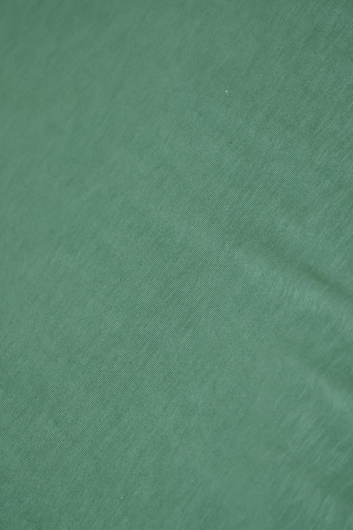 Velva Sheen Long Sleeve Rolled Tee | Evergreen | Canoe Club