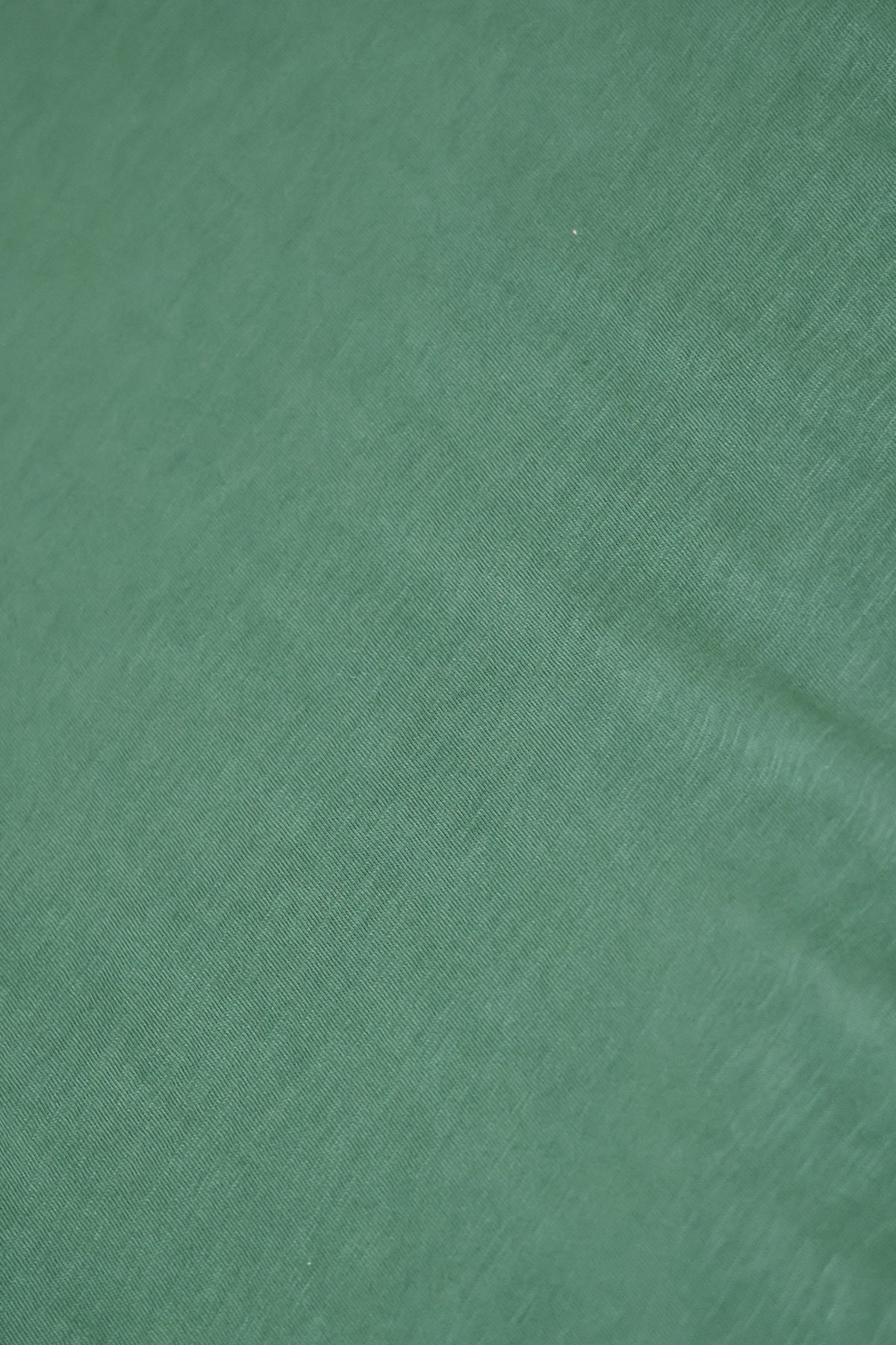 Velva Sheen - Long Sleeve Rolled Tee - Evergreen - Canoe Club