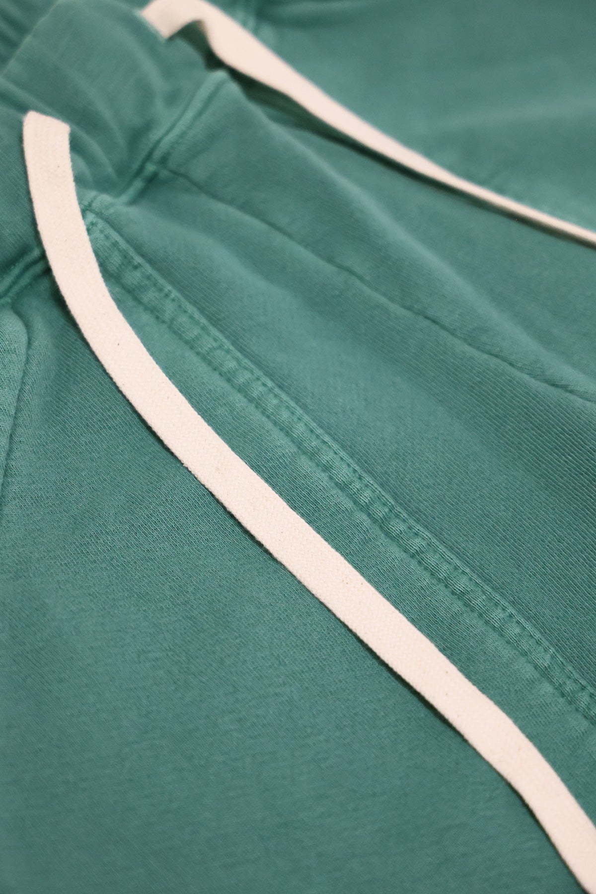 Velva Sheen - Pigment Army Gym Sweat Pants - Evergreen - Canoe Club